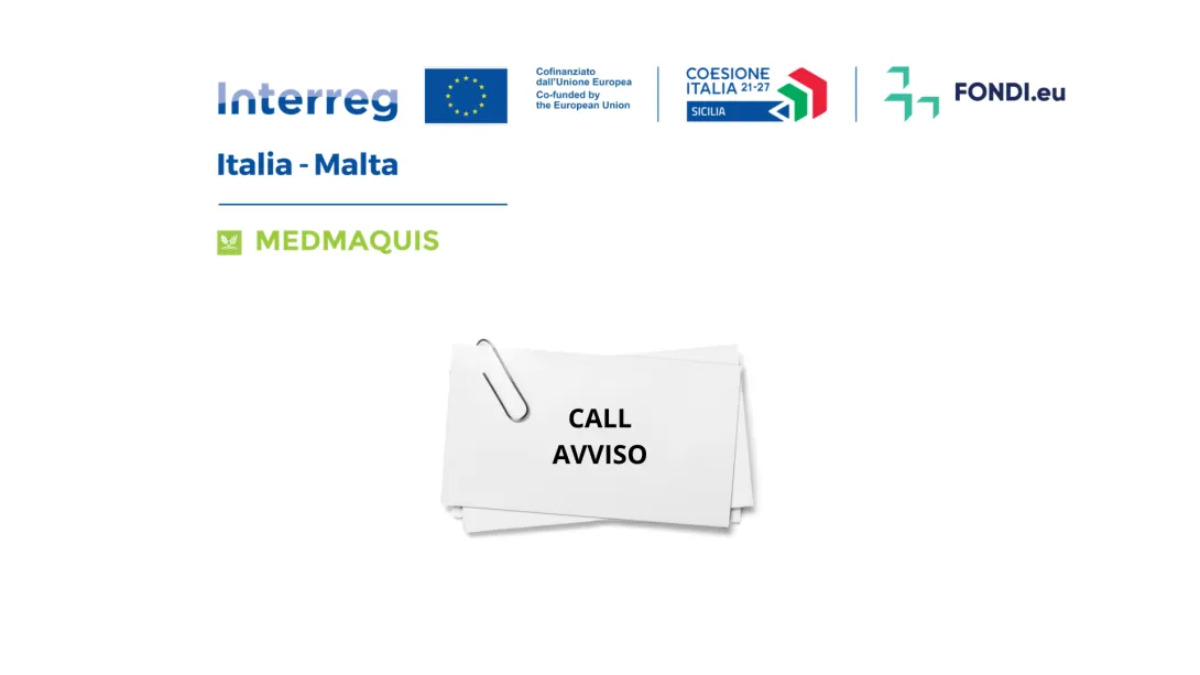 Medmaquis call