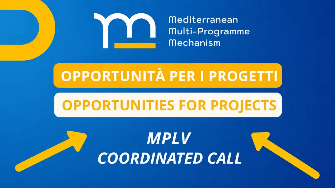 MMM opportunities